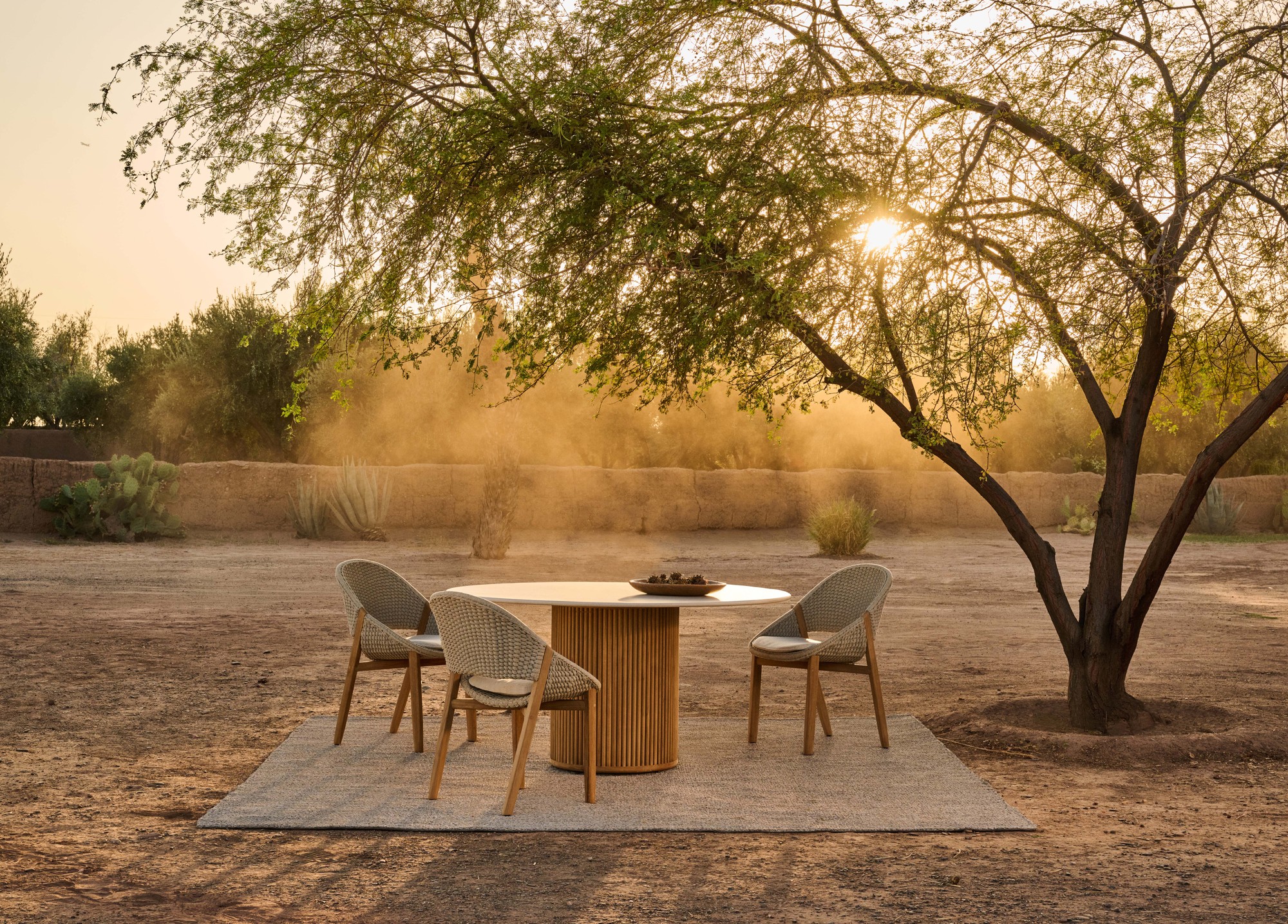 mood_dining_tribu_elio