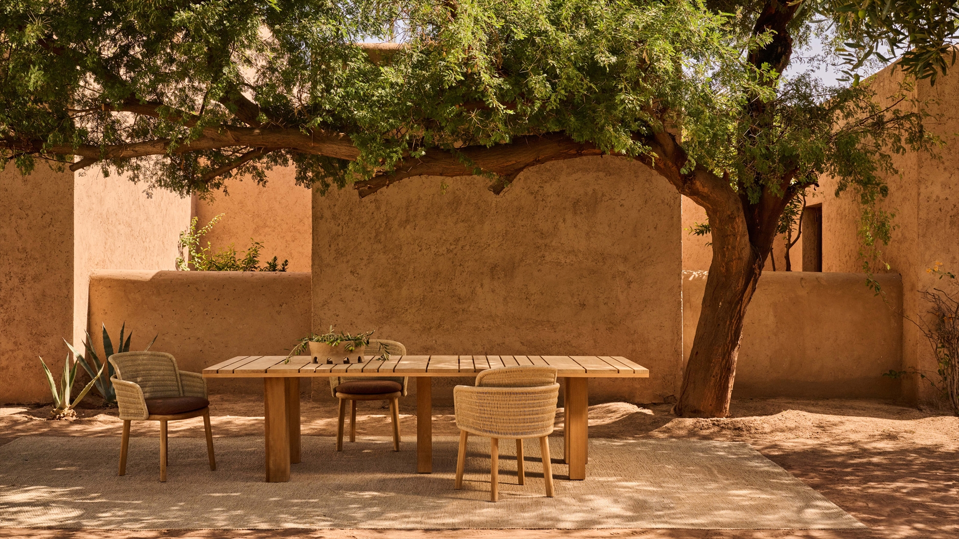 mood_dining_tribu_suro
